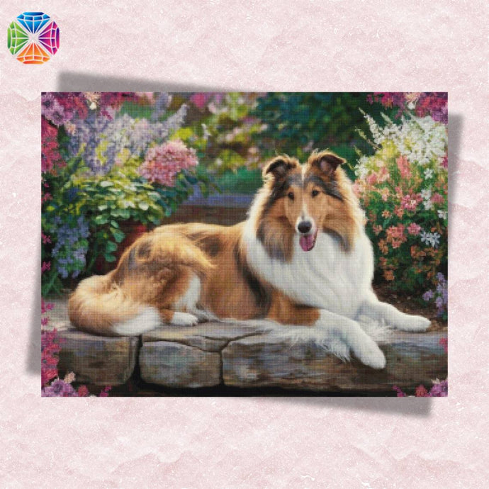 Rough Collie - Diamond Painting