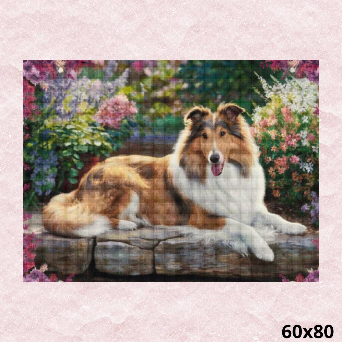 Rough Collie 60x80 - Diamond Painting