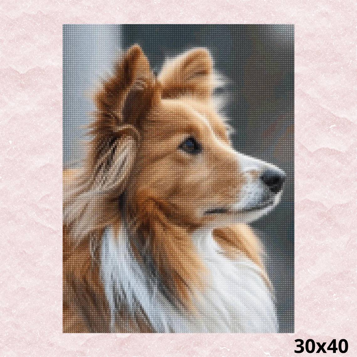 Sheltie 30x40 - Diamond Painting