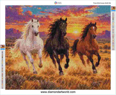 Three wild horses -Diamond Painting Layout