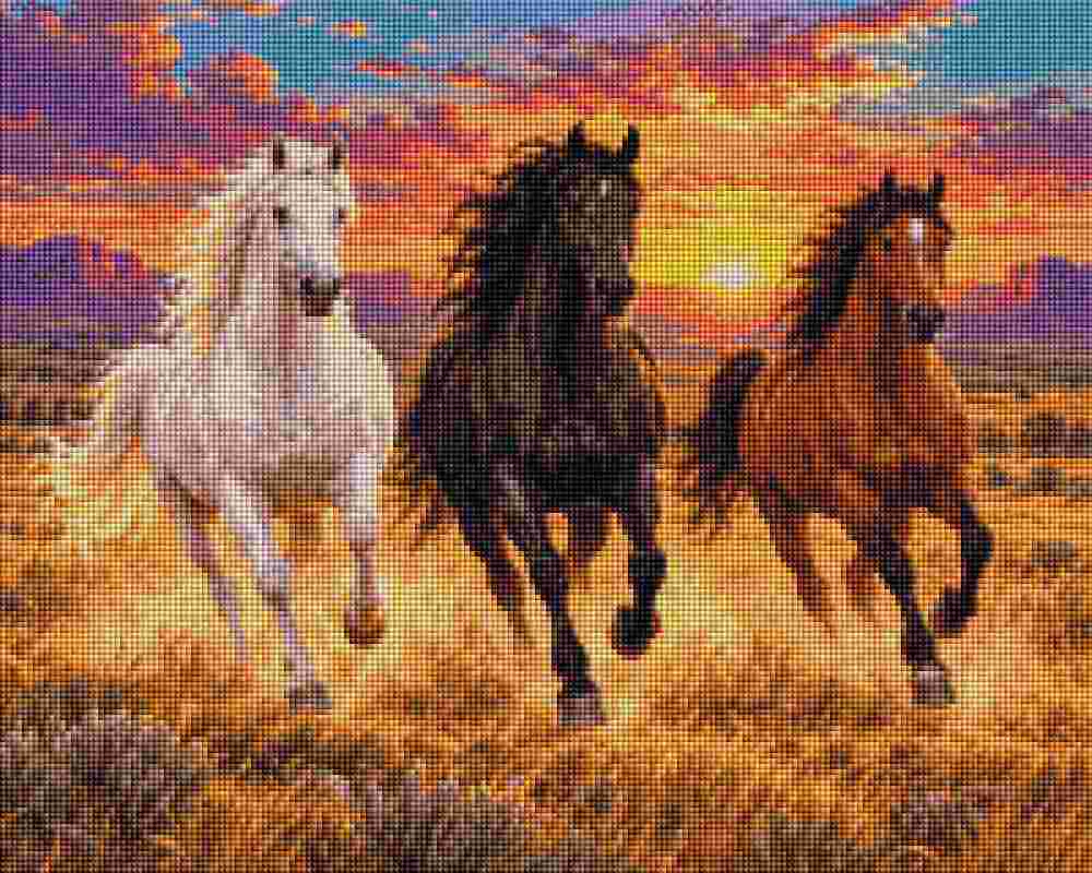 Three wild horses -Diamond Painting