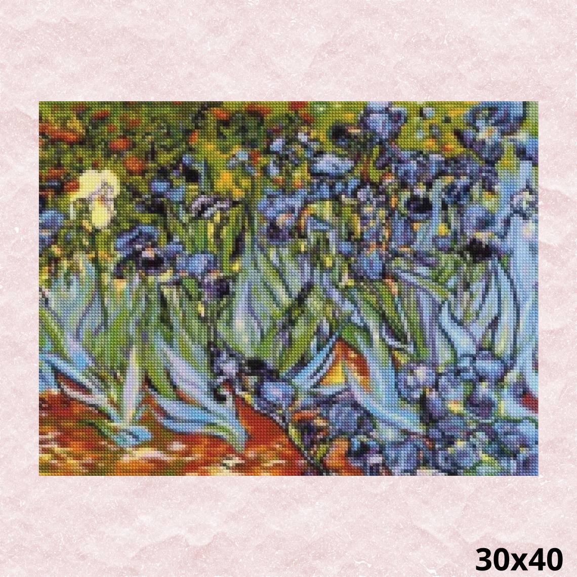 Van Gogh Irises 30x40 - Diamond Painting