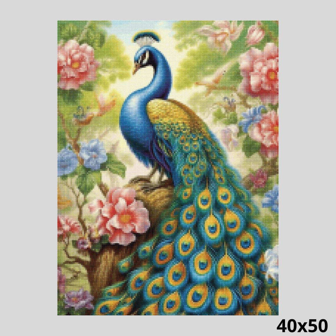 Beautiful Peacock 40x50 Diamond Painting