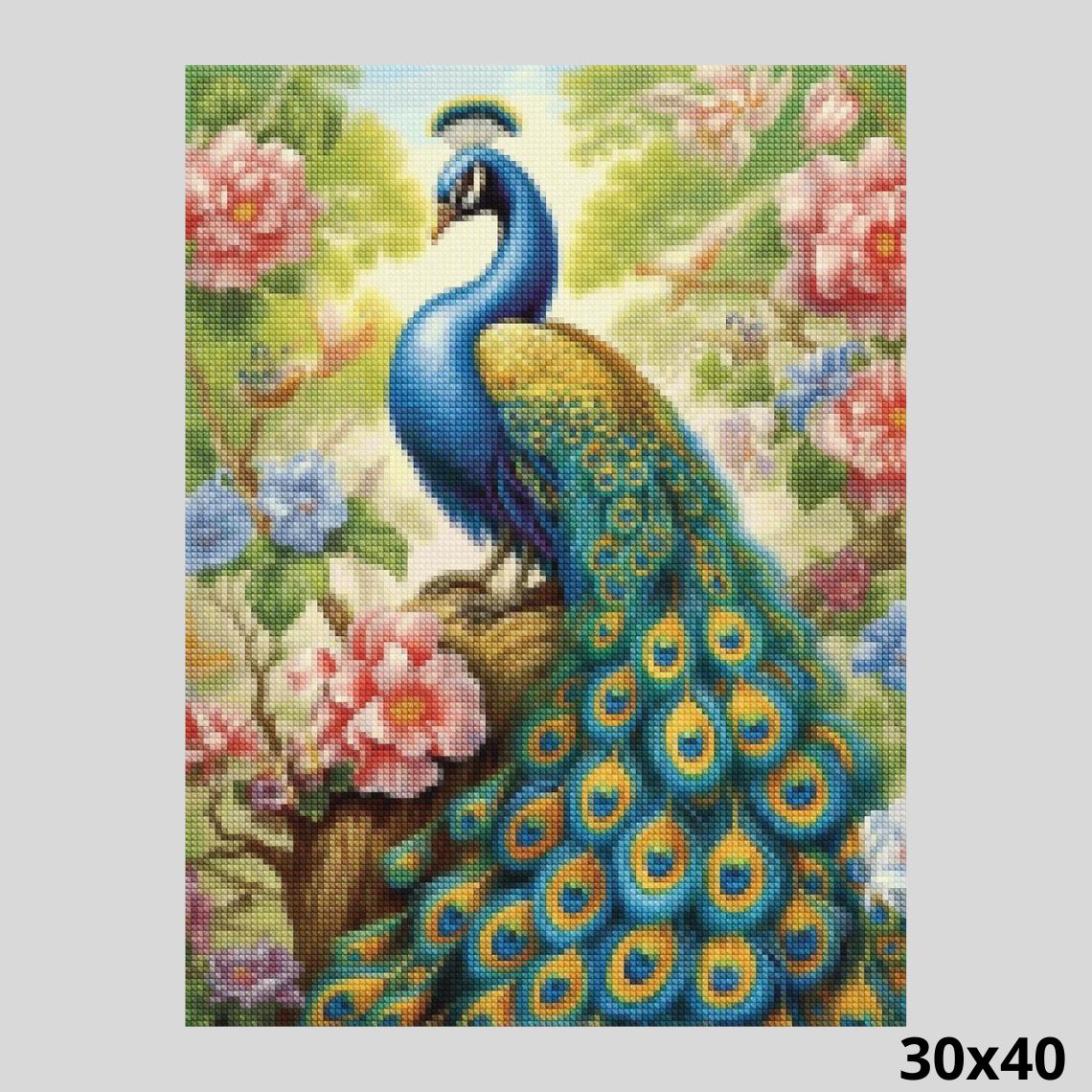 Beautiful Peacock 30x40 Diamond Painting