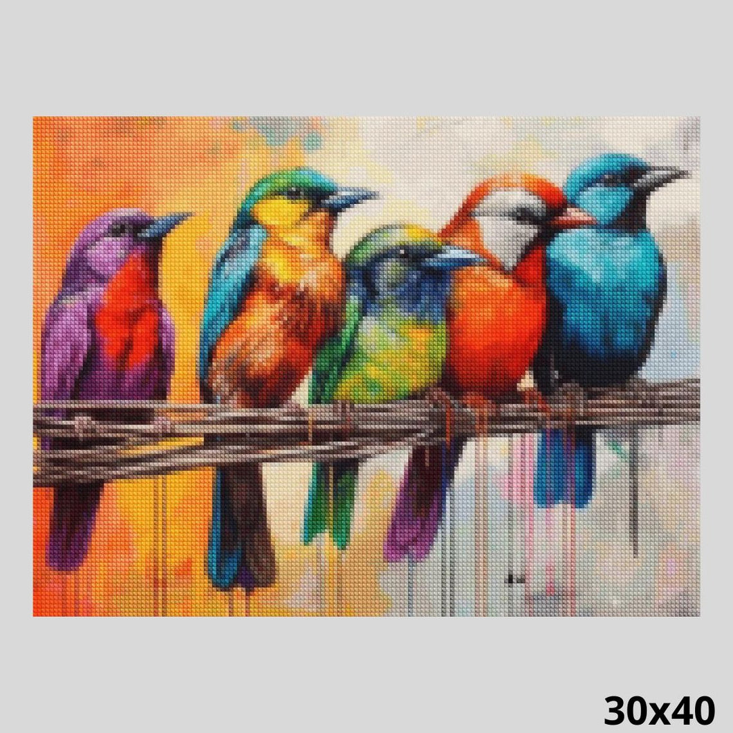 Bird Friends 30x40 Diamond Painting