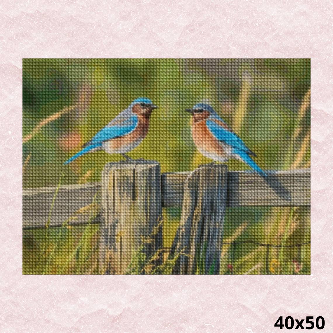 Birds on Fence 40x50 - Diamond Painting