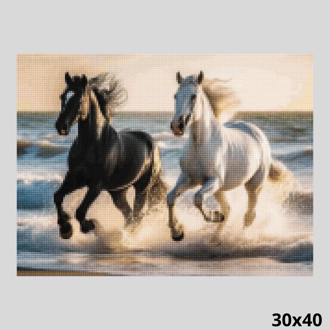 Black and White Horses 30x40 - Diamond Painting