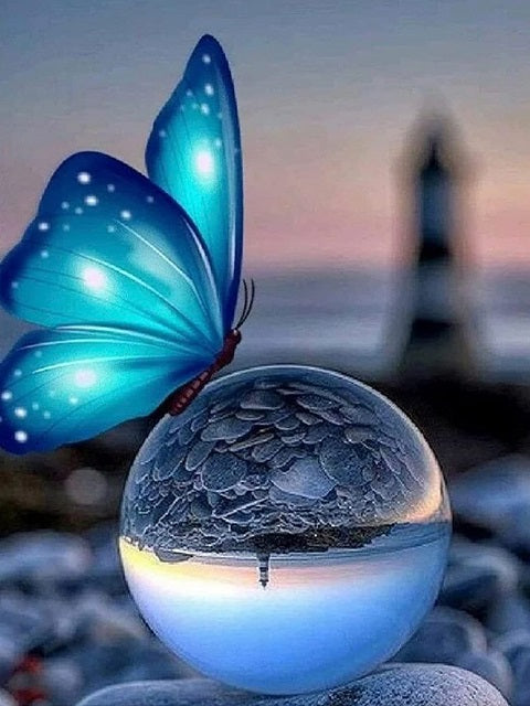 Butterfly on Glass Ball – Diamond Painting