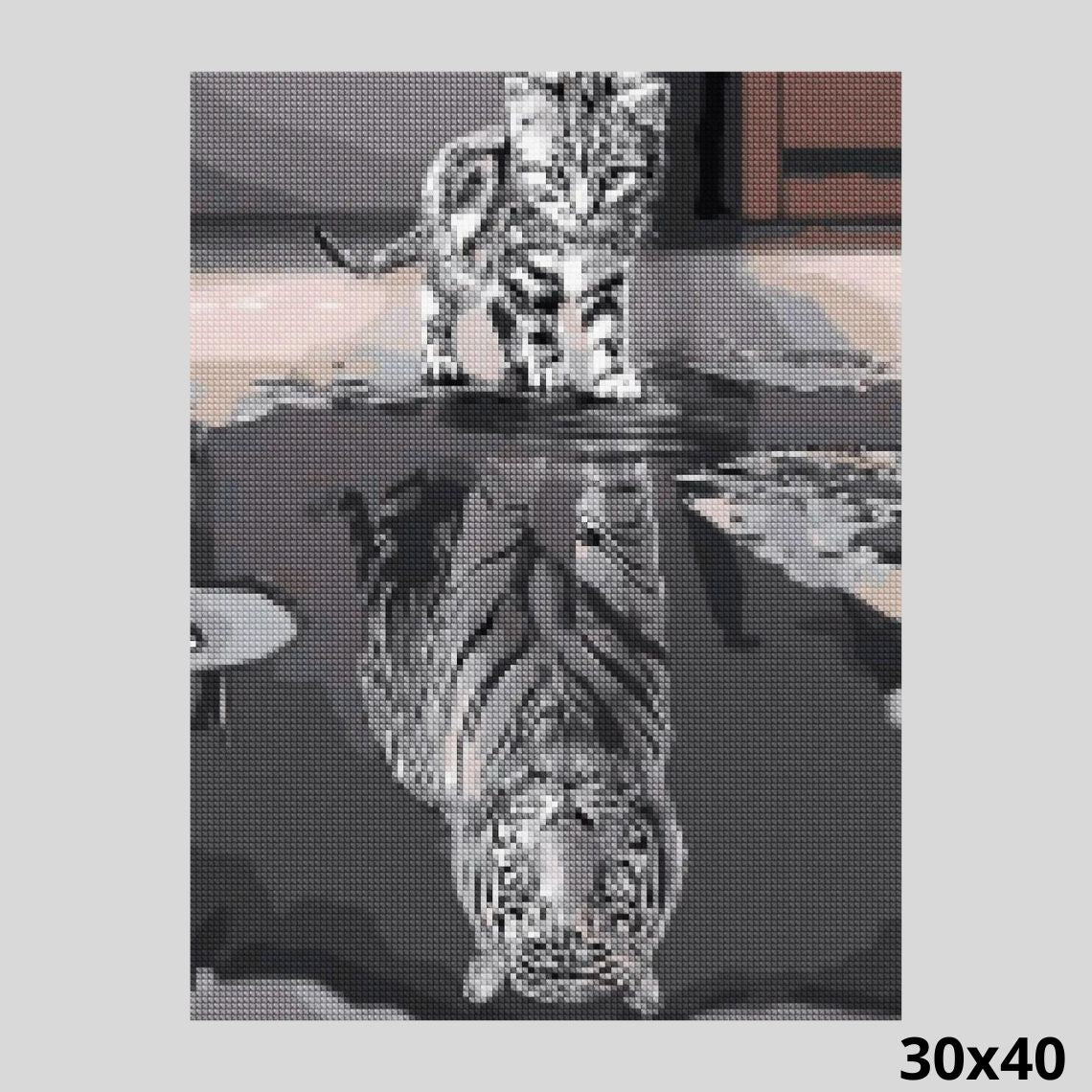 Cat and Tiger 30x40 - Diamond Painting