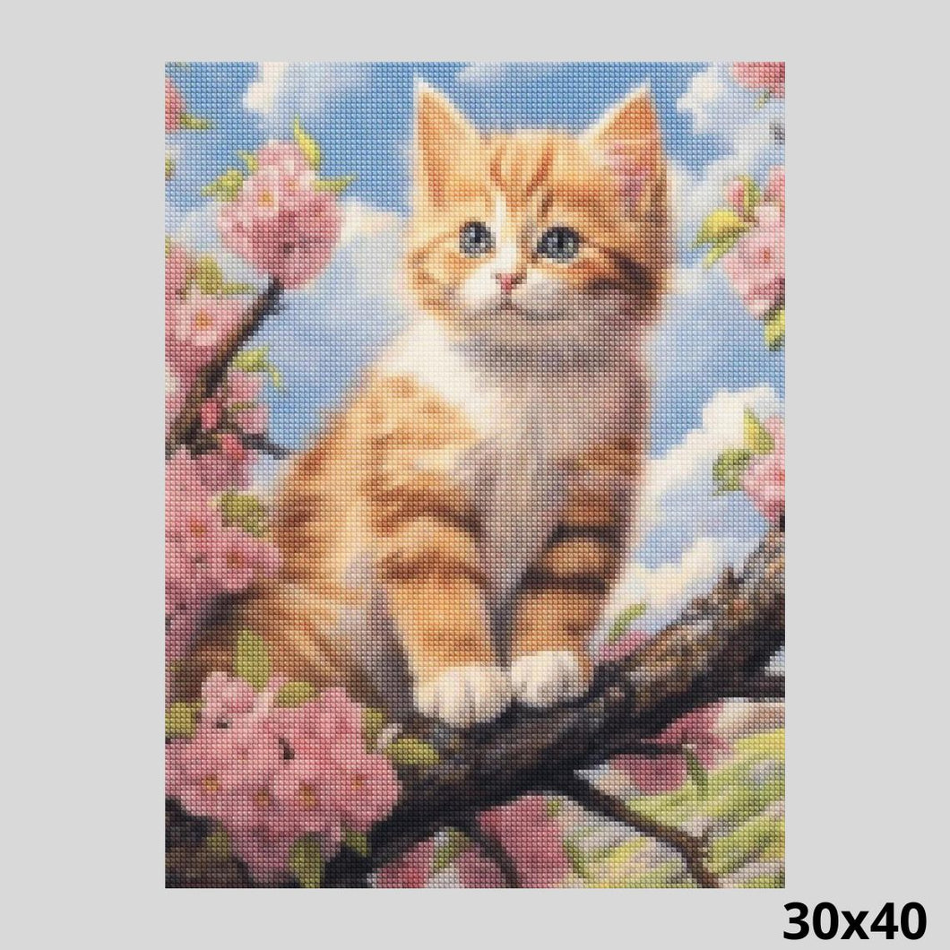 Cat in Cherry Blossom 30x40 - Diamond Painting