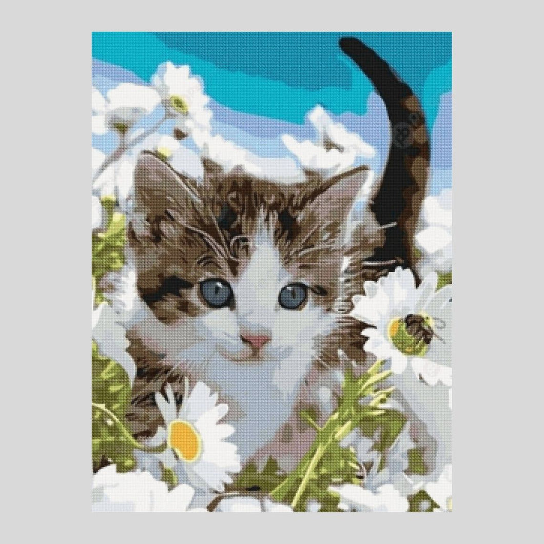 Cat in Meadow - Diamond Painting
