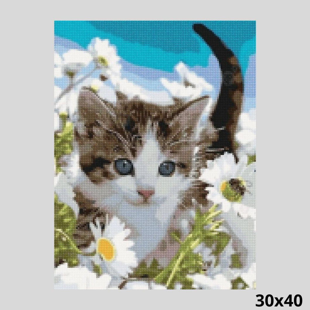Cat in Meadow 30x40 - Diamond Painting