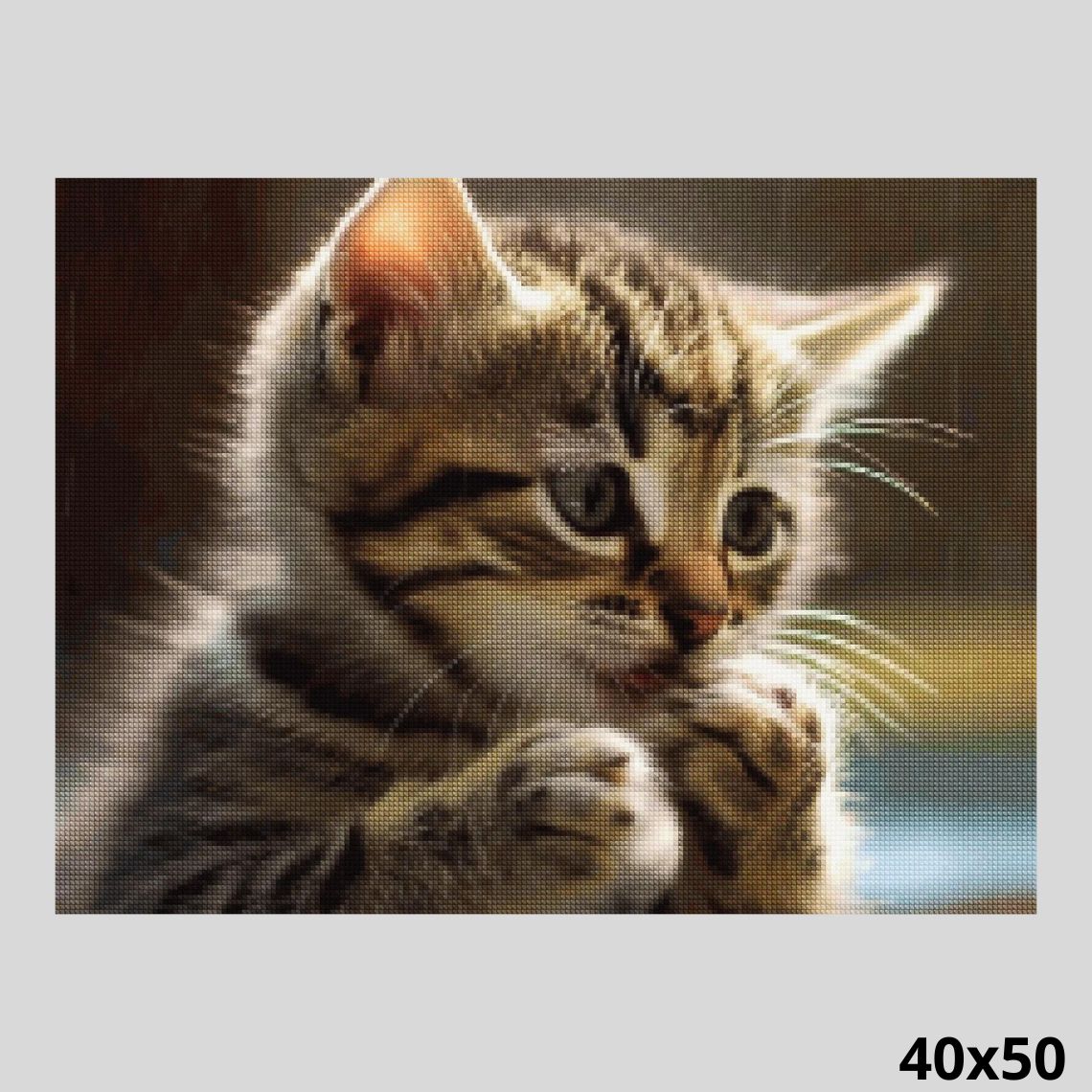 Cat Licking Paw 40x50 - Diamond Art World