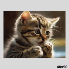 Load image into Gallery viewer, Cat Licking Paw 40x50 - Diamond Art World
