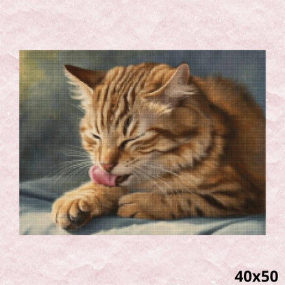 Cat Licking Paw 40x50 - Diamond Painting