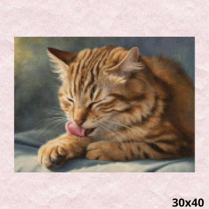 Cat Licking Paw 30x40 - Diamond Painting