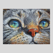 Load image into Gallery viewer, Cat with Blue Eyes - Diamond Painting
