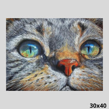 Load image into Gallery viewer, Cat with Blue Eyes 30x40 - Diamond Painting
