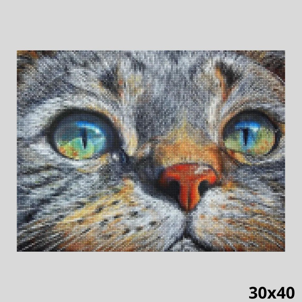 Cat with Blue Eyes 30x40 - Diamond Painting