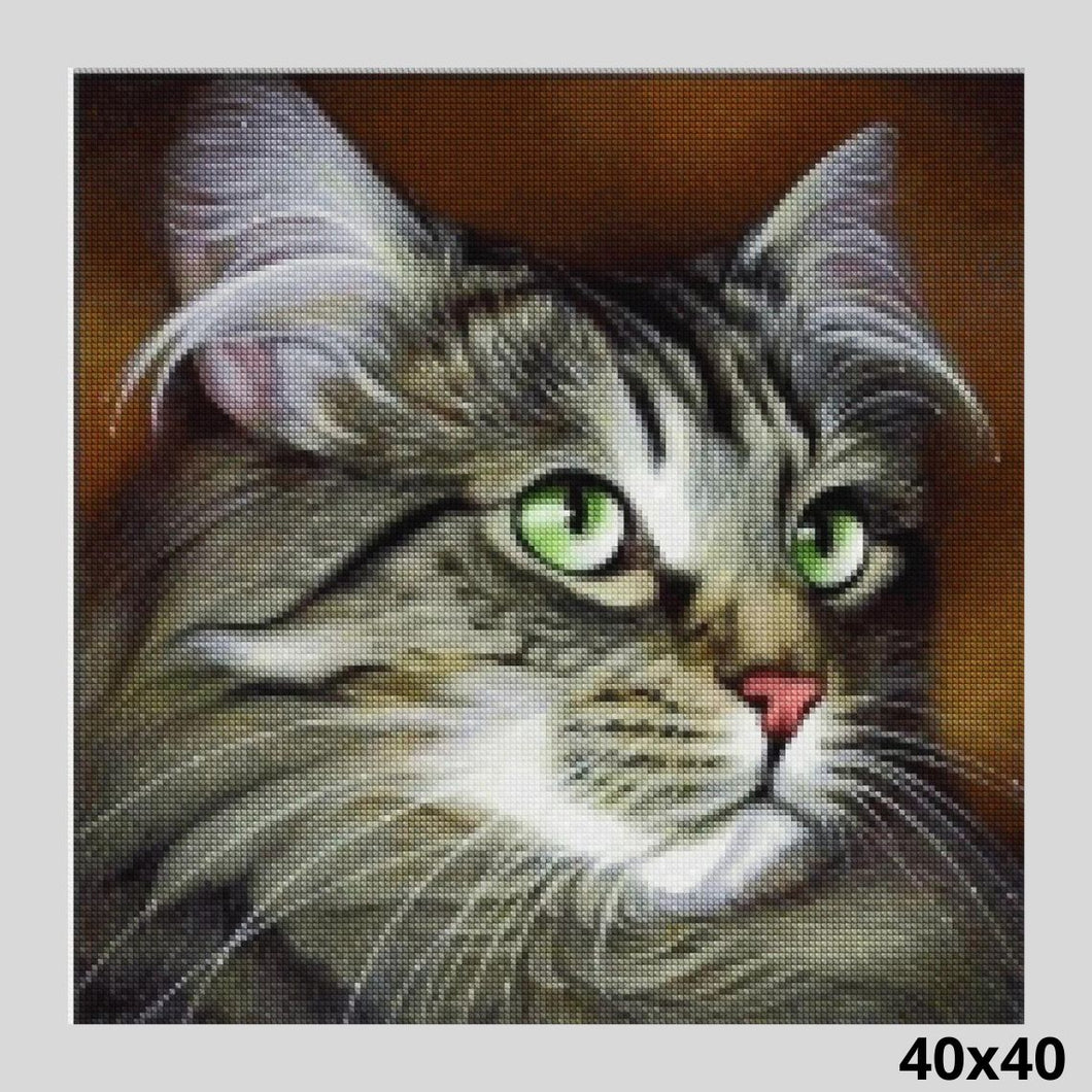 Cat with Green Eyes 40x40 - Diamond Art World