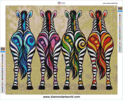 Color Zebras - Diamond Painting Layout