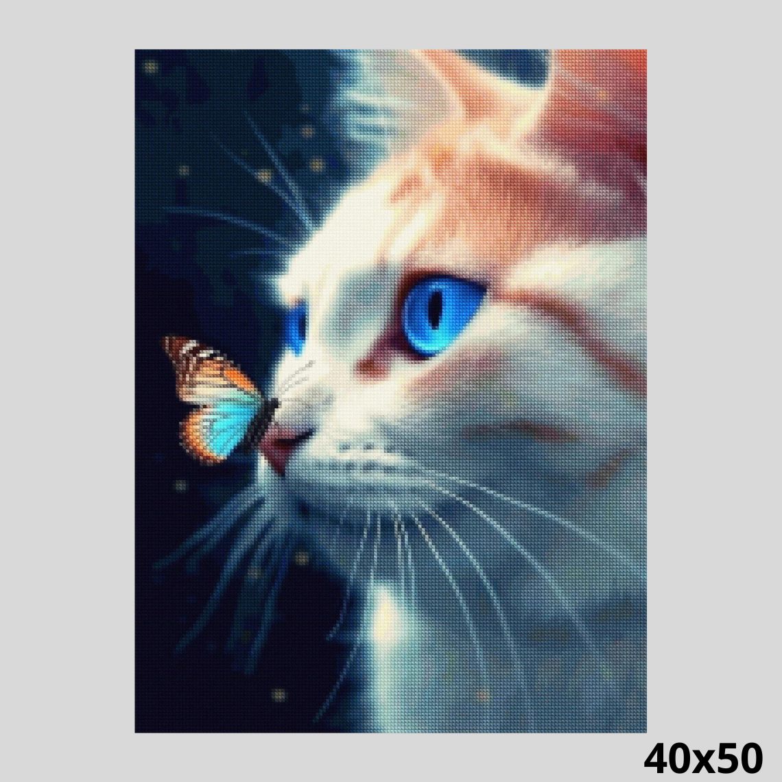 Colorful Butterfly with Cat 40x50 - Diamond Art World
