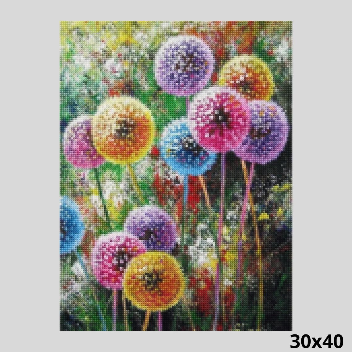 Colorful Dandelions 30x40 - Diamond Painting
