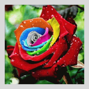 Colorful Rose Dew - Diamond Art World