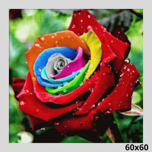 Colorful Rose Dew 60x60 - Diamond Art World