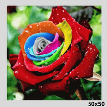 Load image into Gallery viewer, Colorful Rose Dew 50x50 - Diamond Art World
