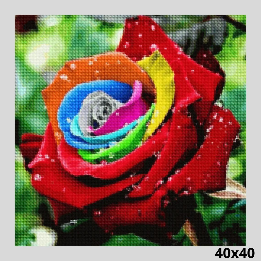Colorful Rose Dew 40x40 - Diamond Art World