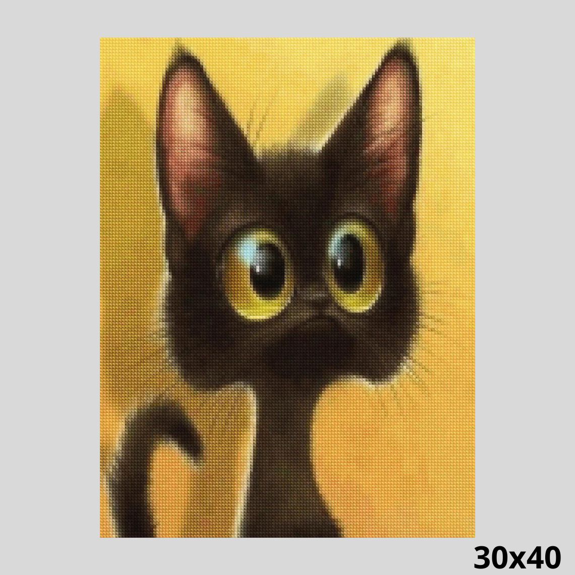 Crazy Kitten 30x40 - Diamond Painting