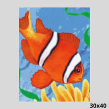 Load image into Gallery viewer, Cute Little Clown Fish 30x40 - Diamond Art
