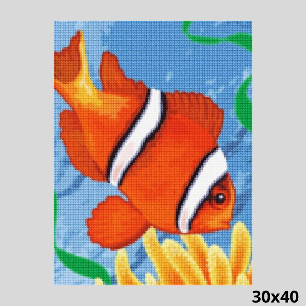 Cute Little Clown Fish 30x40 - Diamond Art