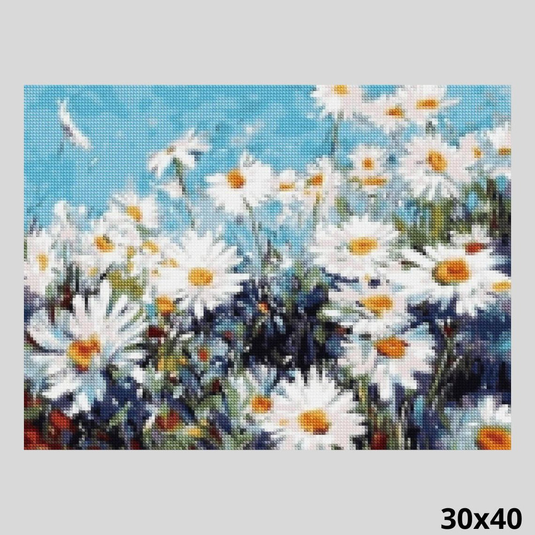 Daisy Flower 30x40 - Diamond Painting