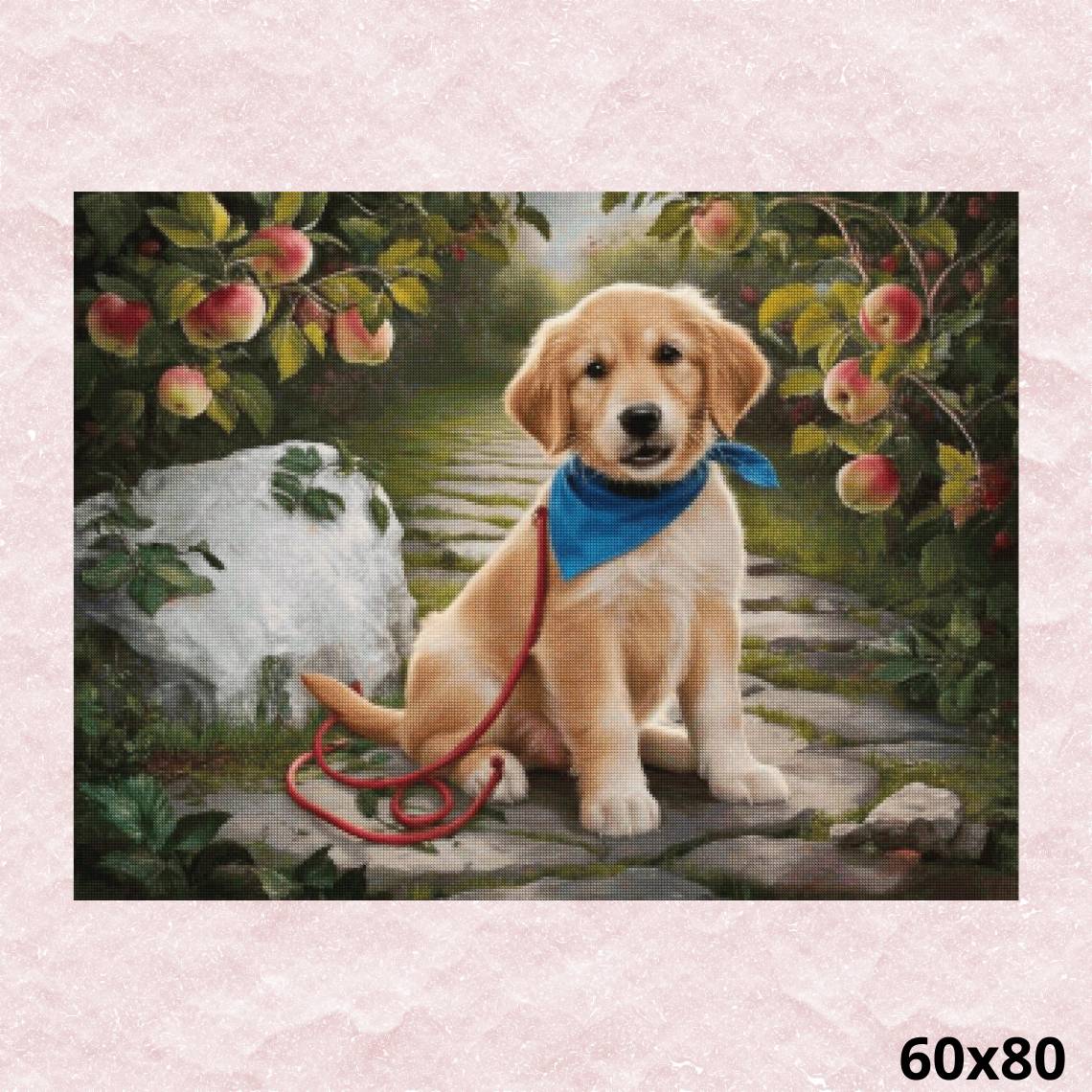 Dog and Fruits 60x80 - Diamond Painting