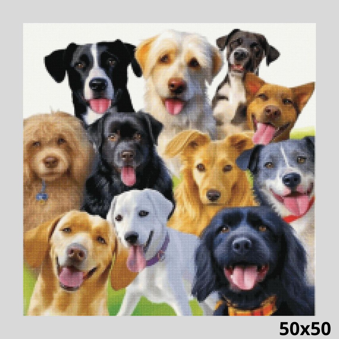 Dog Group 50x50 Diamond Painting