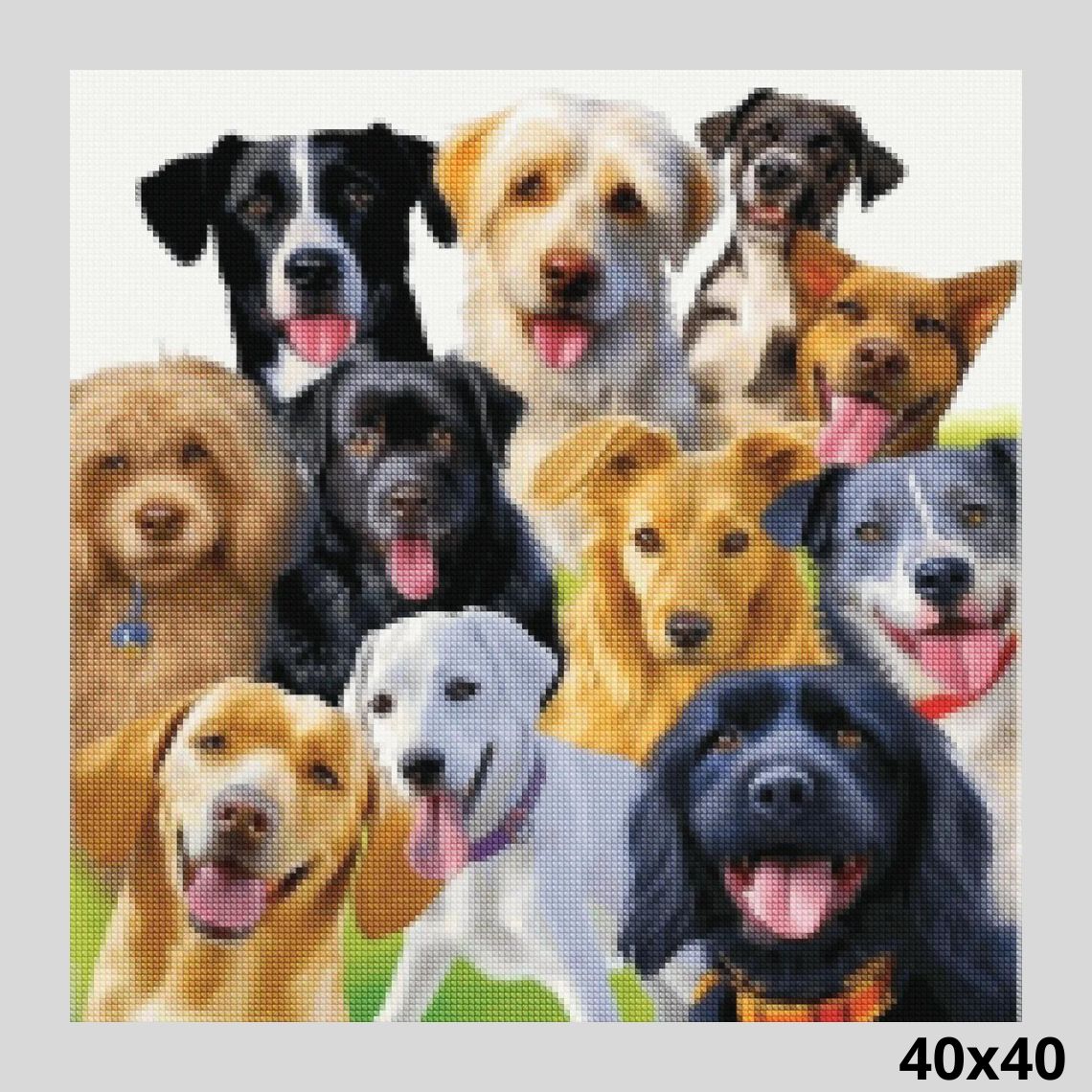Dog Group 40x40 Diamond Painting
