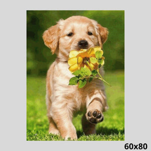 Dog Walking with Flower 60x80 - Diamond Art