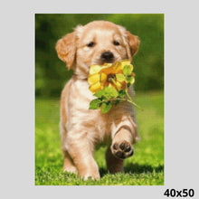 Load image into Gallery viewer, Dog Walking with Flower 40x50 - Diamond Art
