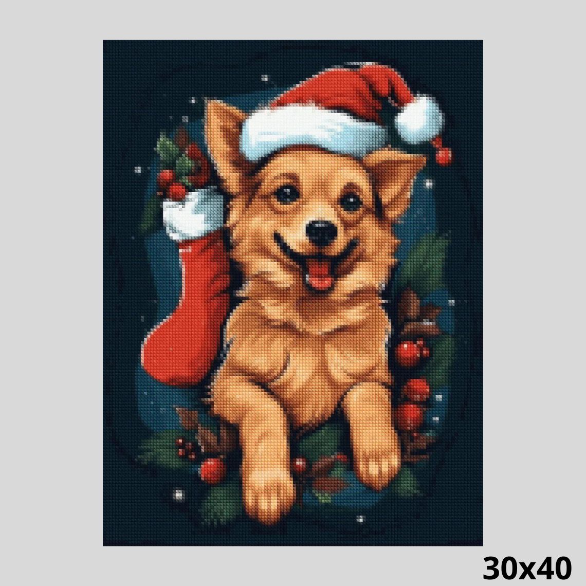 Dog with Christmas Socks 30x40 - Diamond Painting