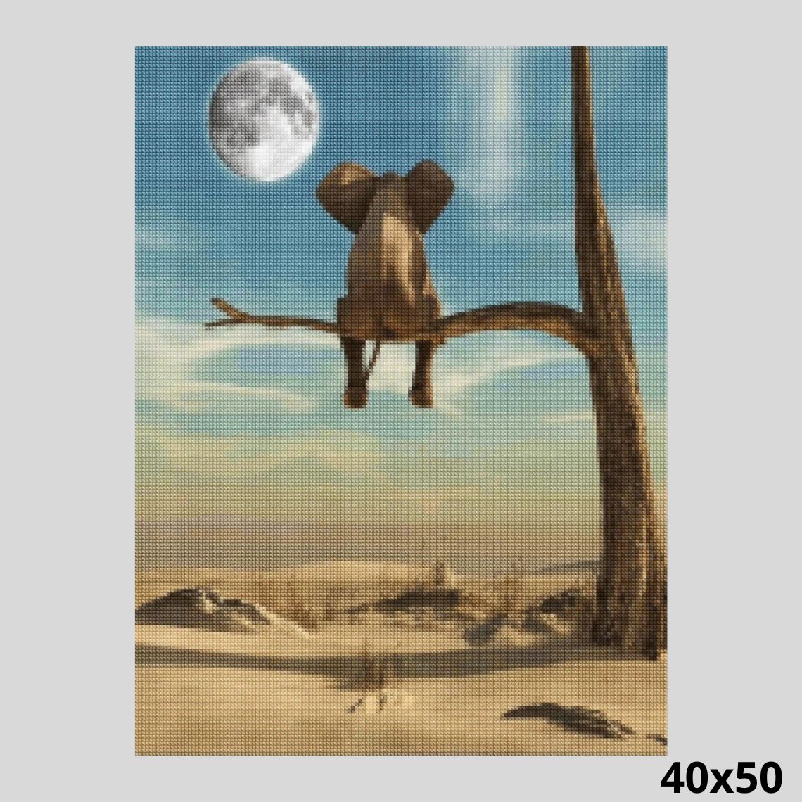 Elephant watching moon 40x50 - Diamond Art World
