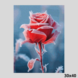 Frozen Rose 30x40 - Diamond Painting