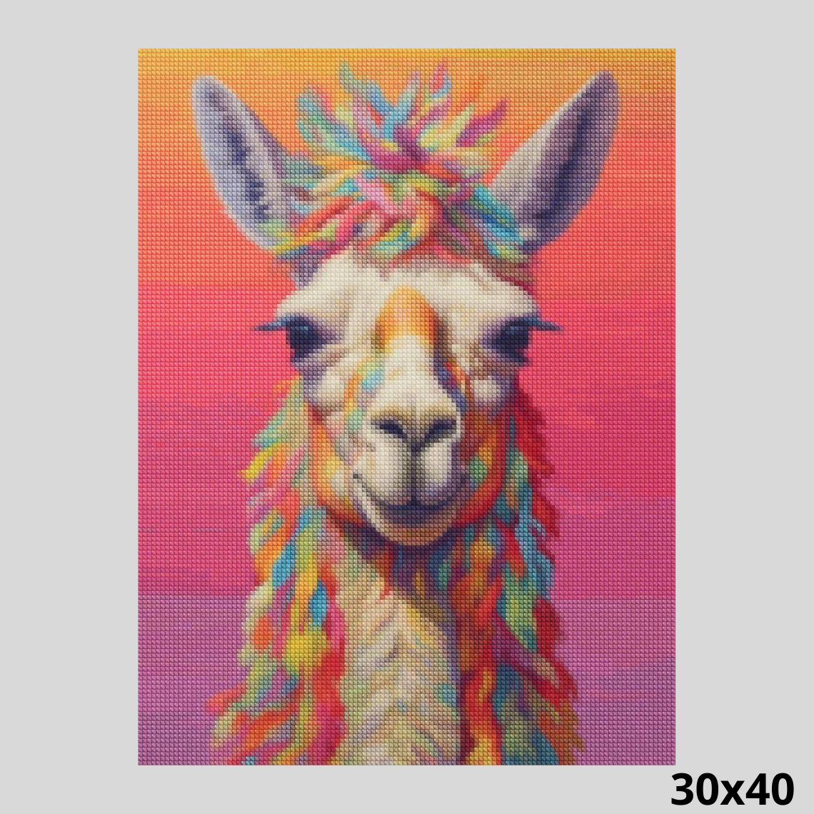 Hippie Llama 30x40 - Diamond Art World
