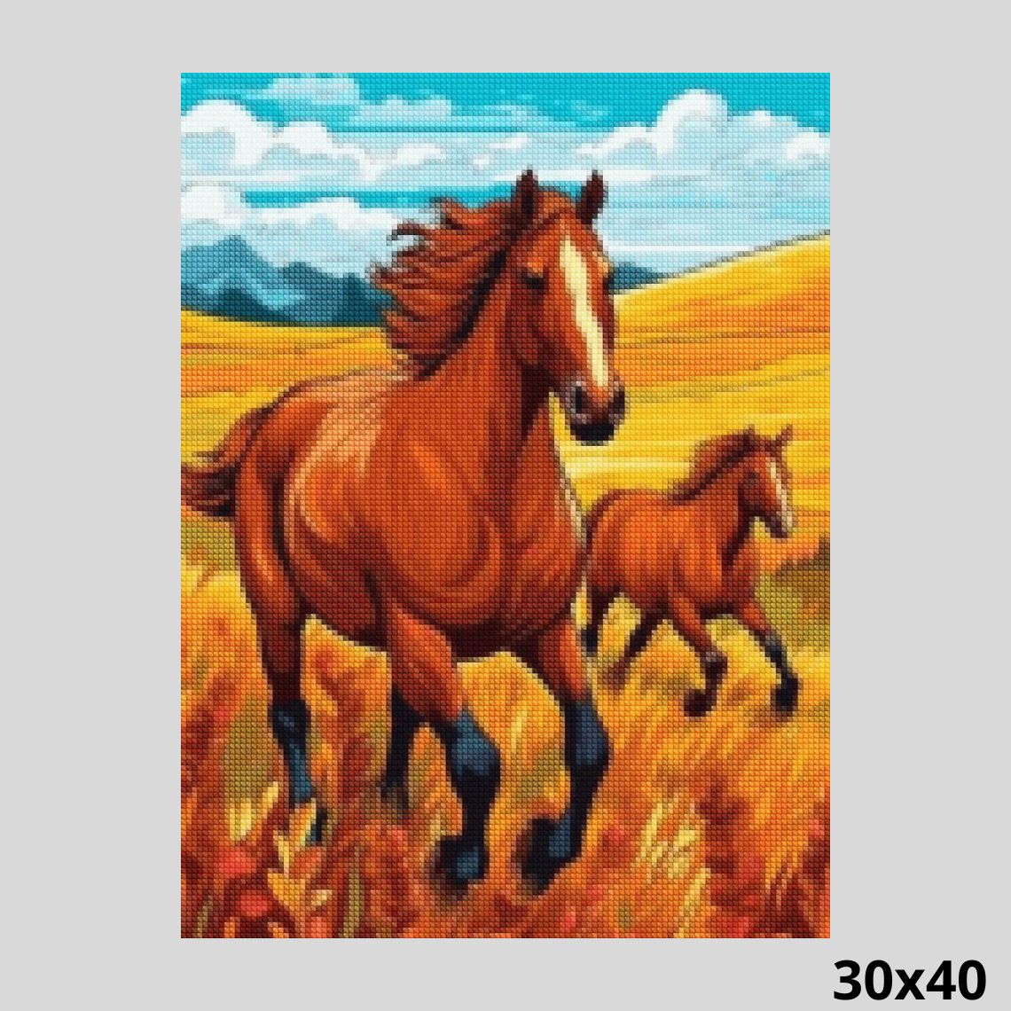 Horse Family 30x40 - Diamond Art World