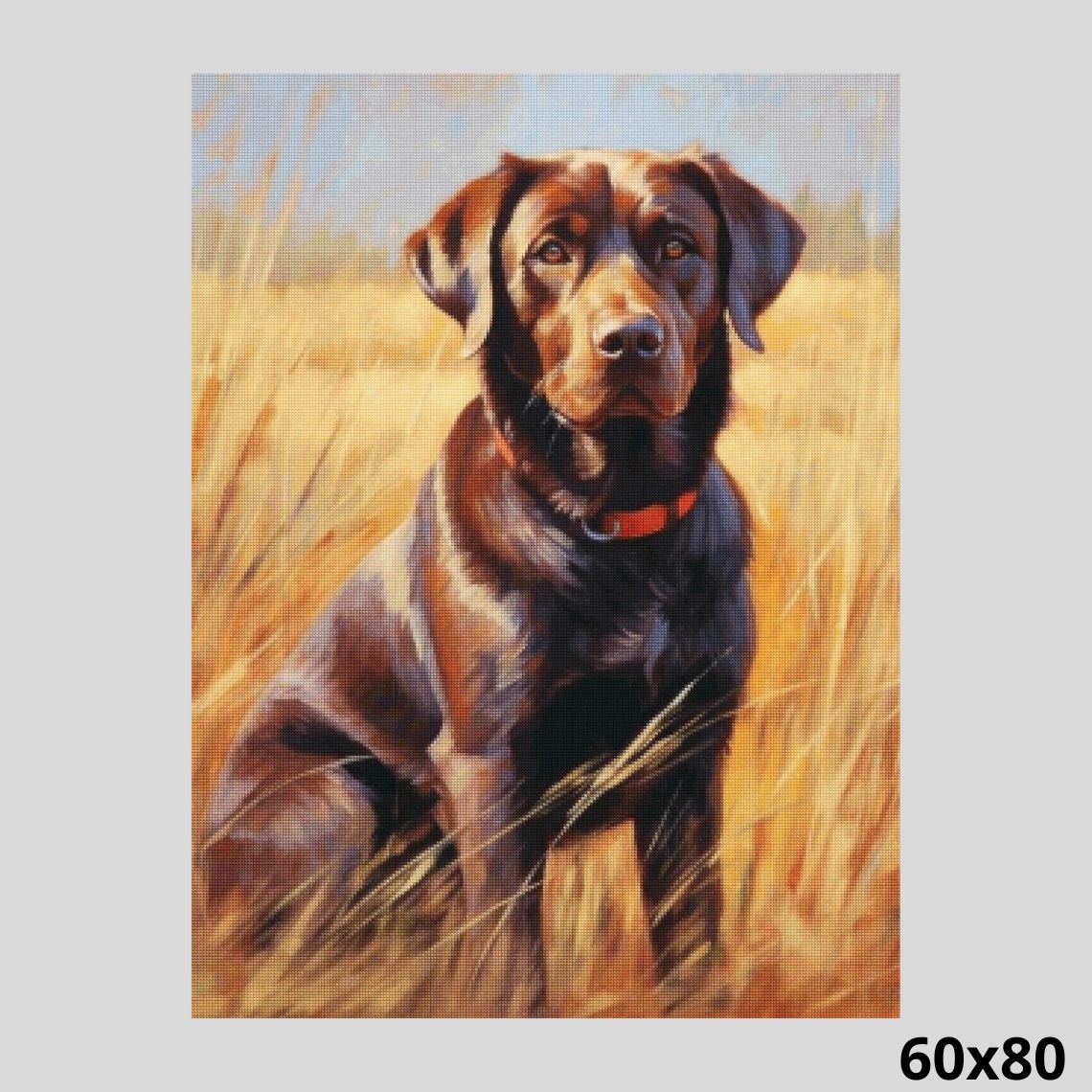 Labrador Retriever 60x80 - Diamond Art World