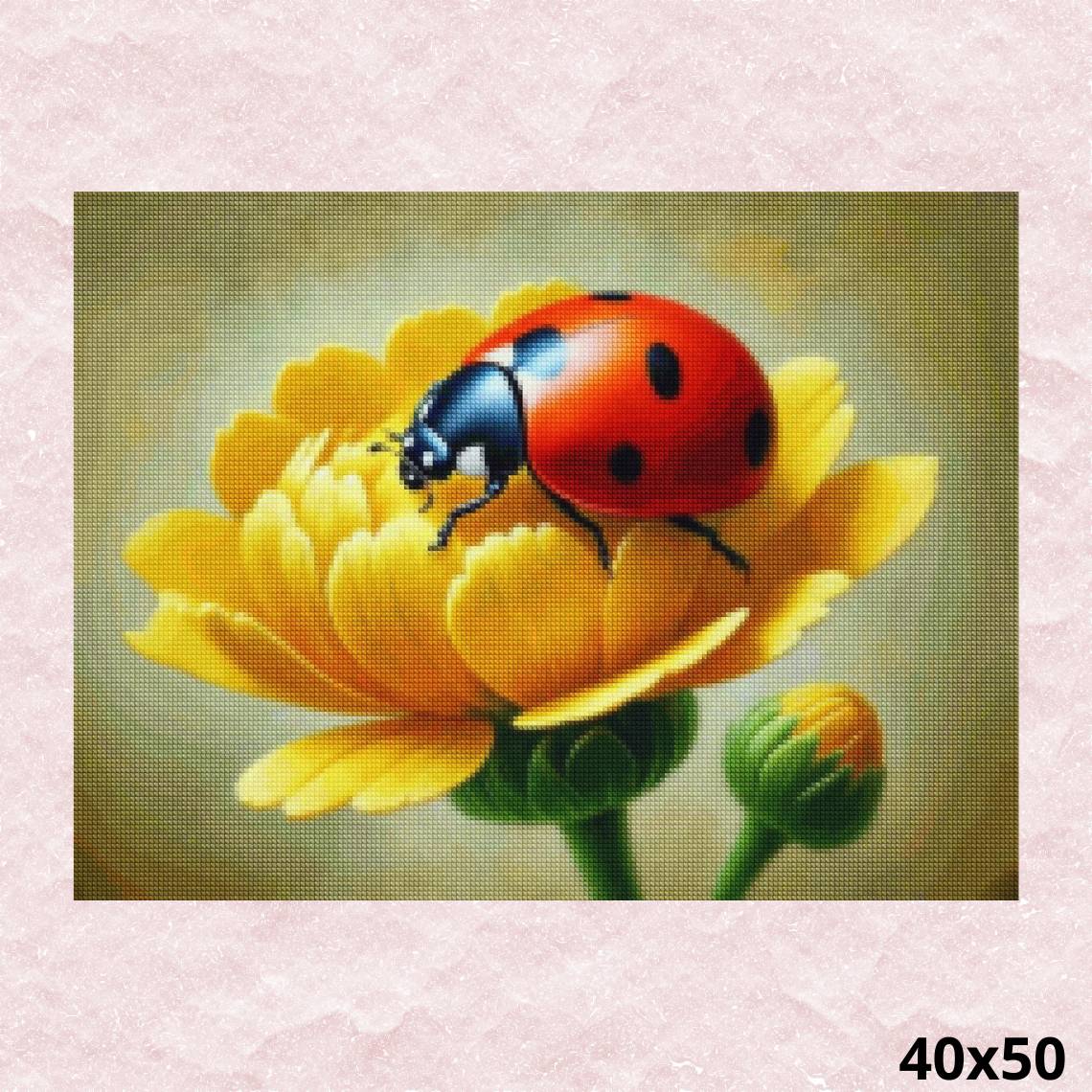 Ladybug and Flowers 40x50 - Diamond Painting