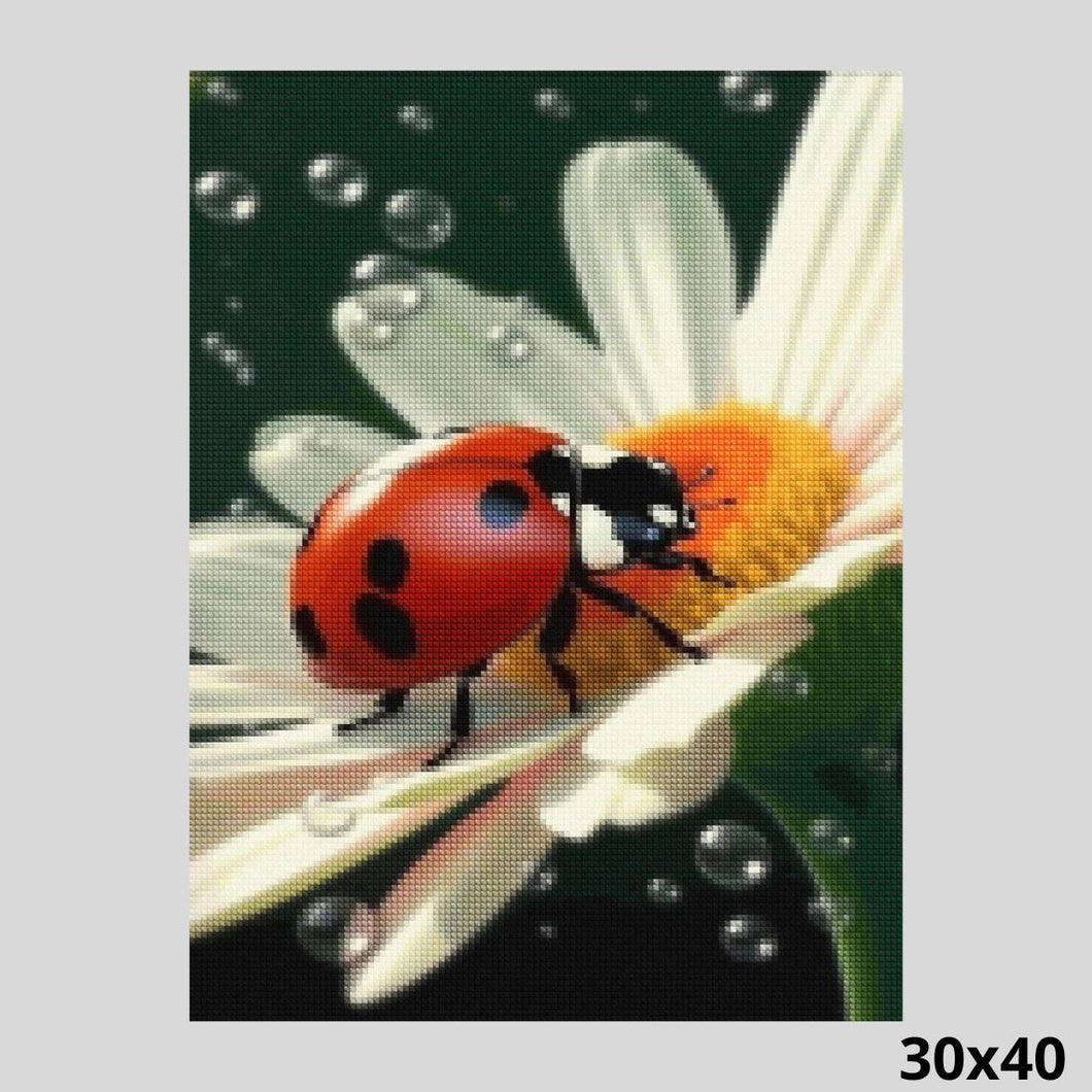 Ladybug and Flowers 30x40 - Diamond Painting