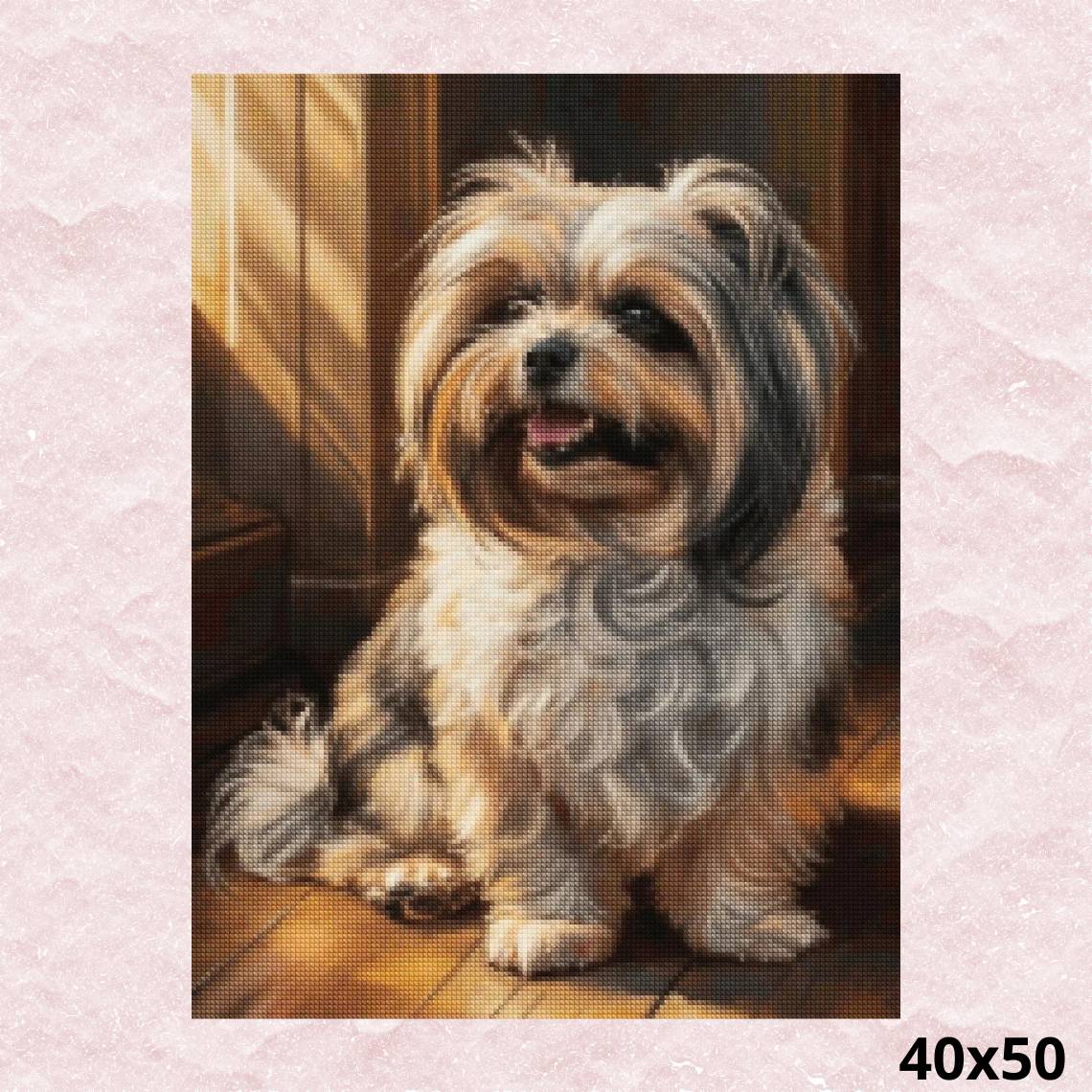 Lhasa Apso 40x50 - Diamond Painting