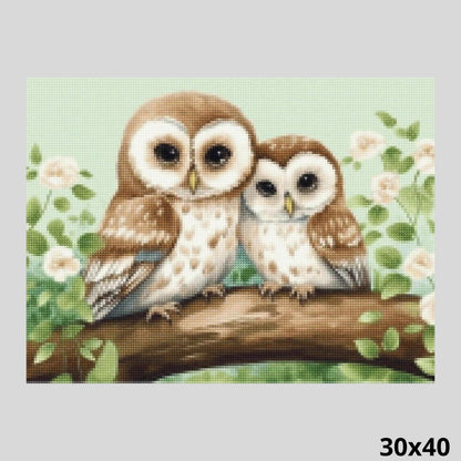 Little Owls 30x40 Diamond Art World
